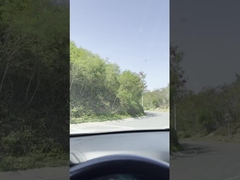 Canottiera di gomma flessibile Blade di cancello posteriore di moda Canottiera di vetro posteriore di sostituzione